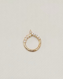 Arany piercing