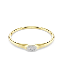 5724597 Swarovski Dextera karperec