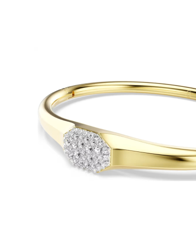 5724597 Swarovski Dextera karperec