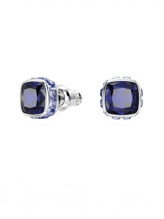 Swarovski Birthstone bedugós fülbevaló 5660803