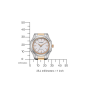 FE2116-85A Citizen Elegance Eco-Drive női karóra (31,3mm)